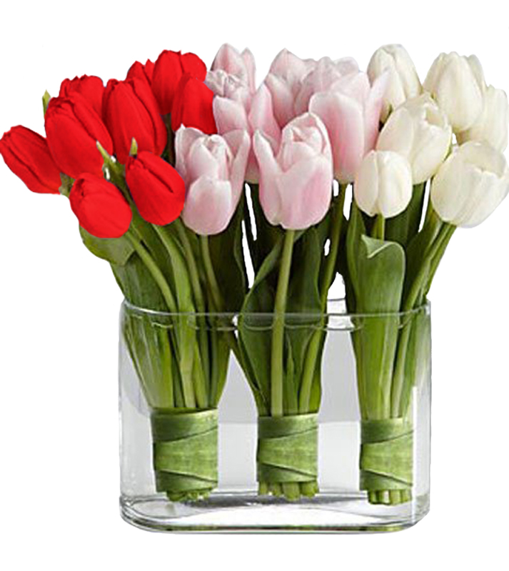 toulipes-vazo-floristnews